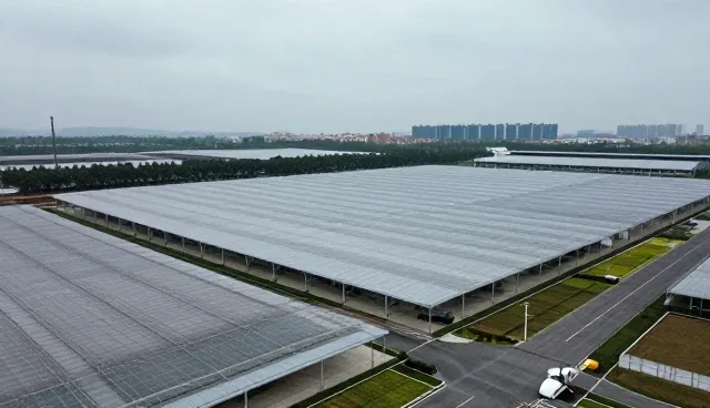 个性化学习方案在升学规划中的实际应用场景解析